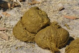 Canadian Industry Minister, Member of Parliament and Trilateral Commission member in this undated photograph.