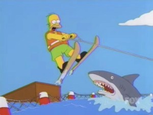 homer-jump-shark