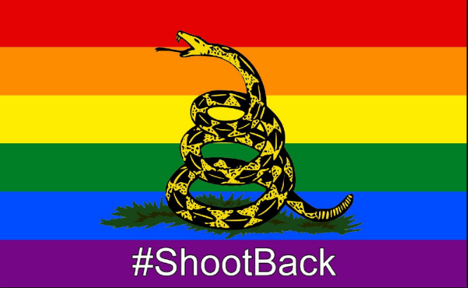 Gadsden Flag Shoot Back.jpg-large